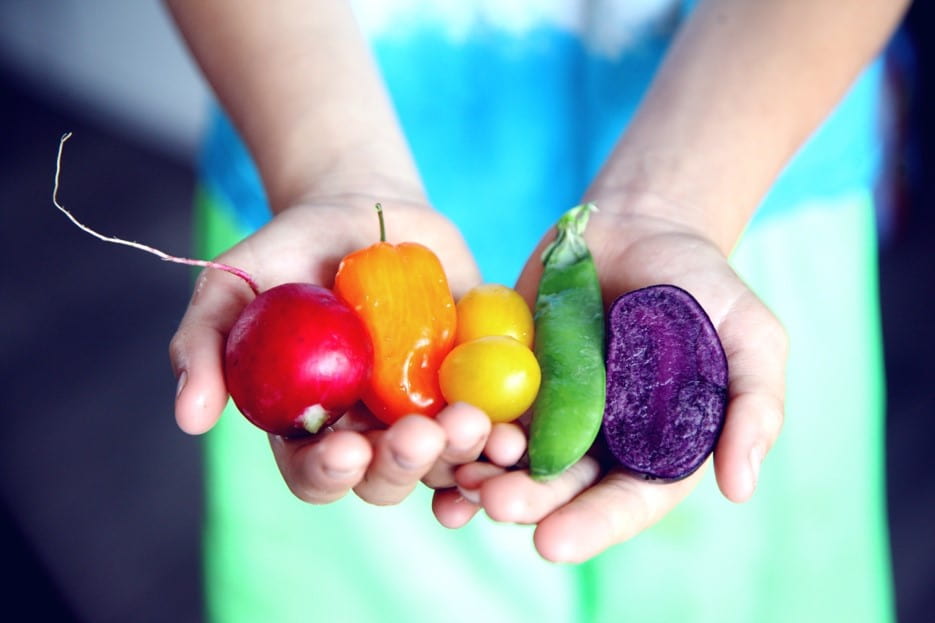 紅色、橘色、黃色、綠色、紫色的蔬果捧在手上，多吃蔬果有益身心健康